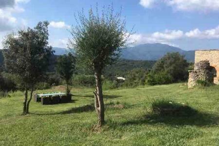 La Granera Apartment Girona