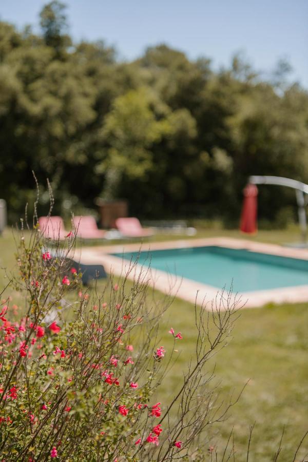 La Granera Apartment Girona